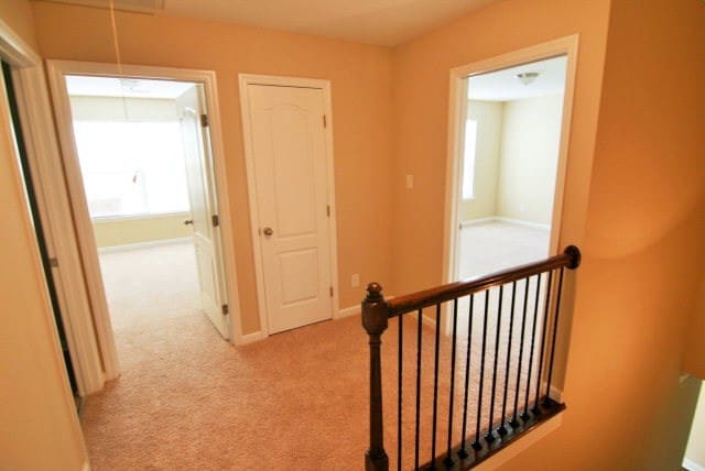 Building Photo - 833 Erika Ln