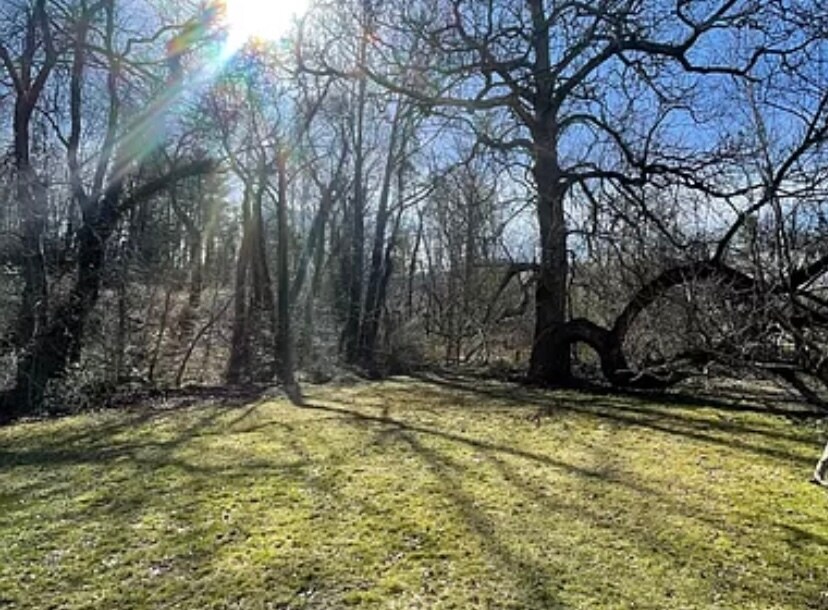 Building Photo - 62 Debra Ln