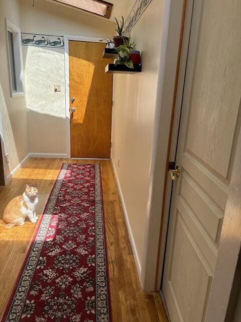 Building Photo - Cozy 2 Bed house near main street in Buena Vista - Allows pets! All Utilities included