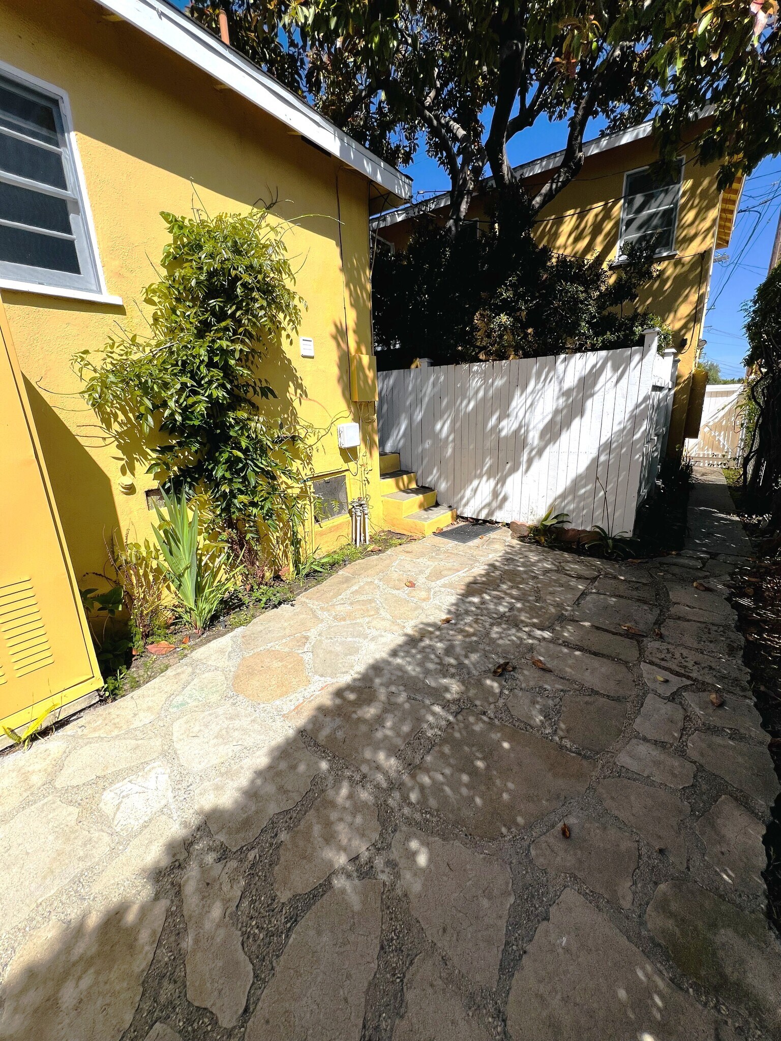 private yard - 3116 Colorado Ave