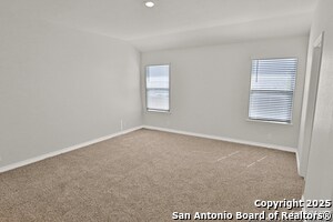 Building Photo - 183 Ringed Plover