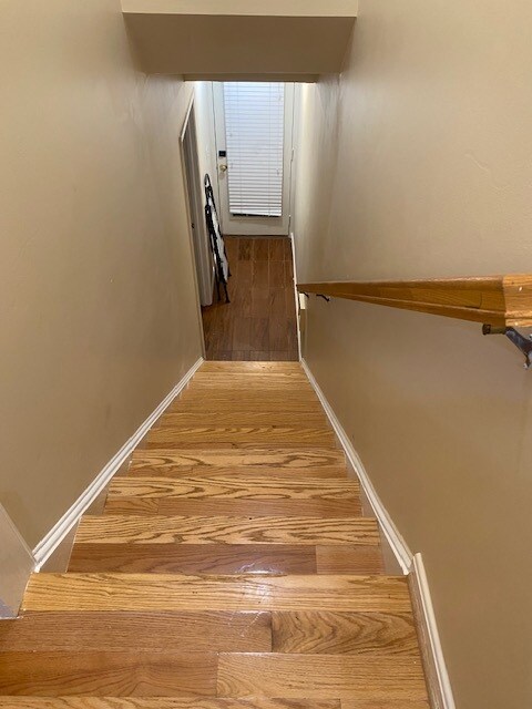 Stairs to lower level - 8309 Cloud St