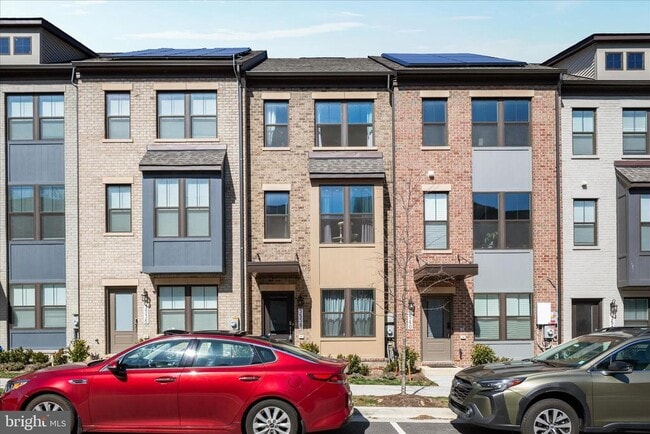 Building Photo - 3538 Stella Blue Dr