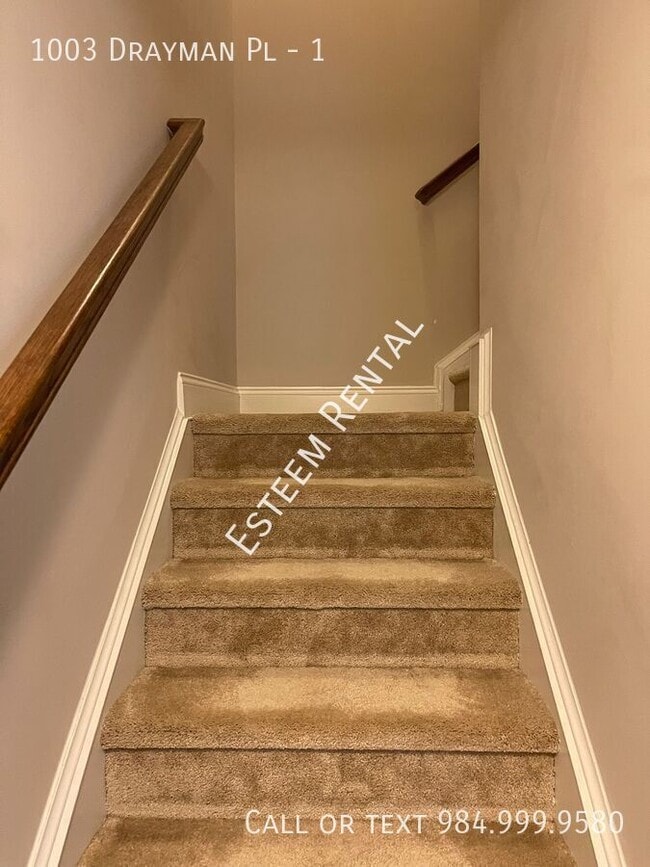 Building Photo - 1003 Drayman Pl