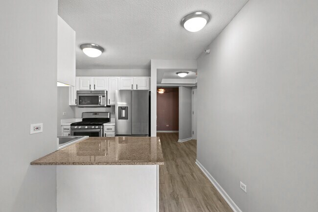 Building Photo - 545 N Dearborn St