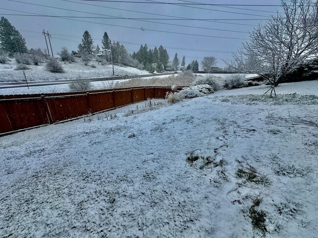 Building Photo - New on the market!