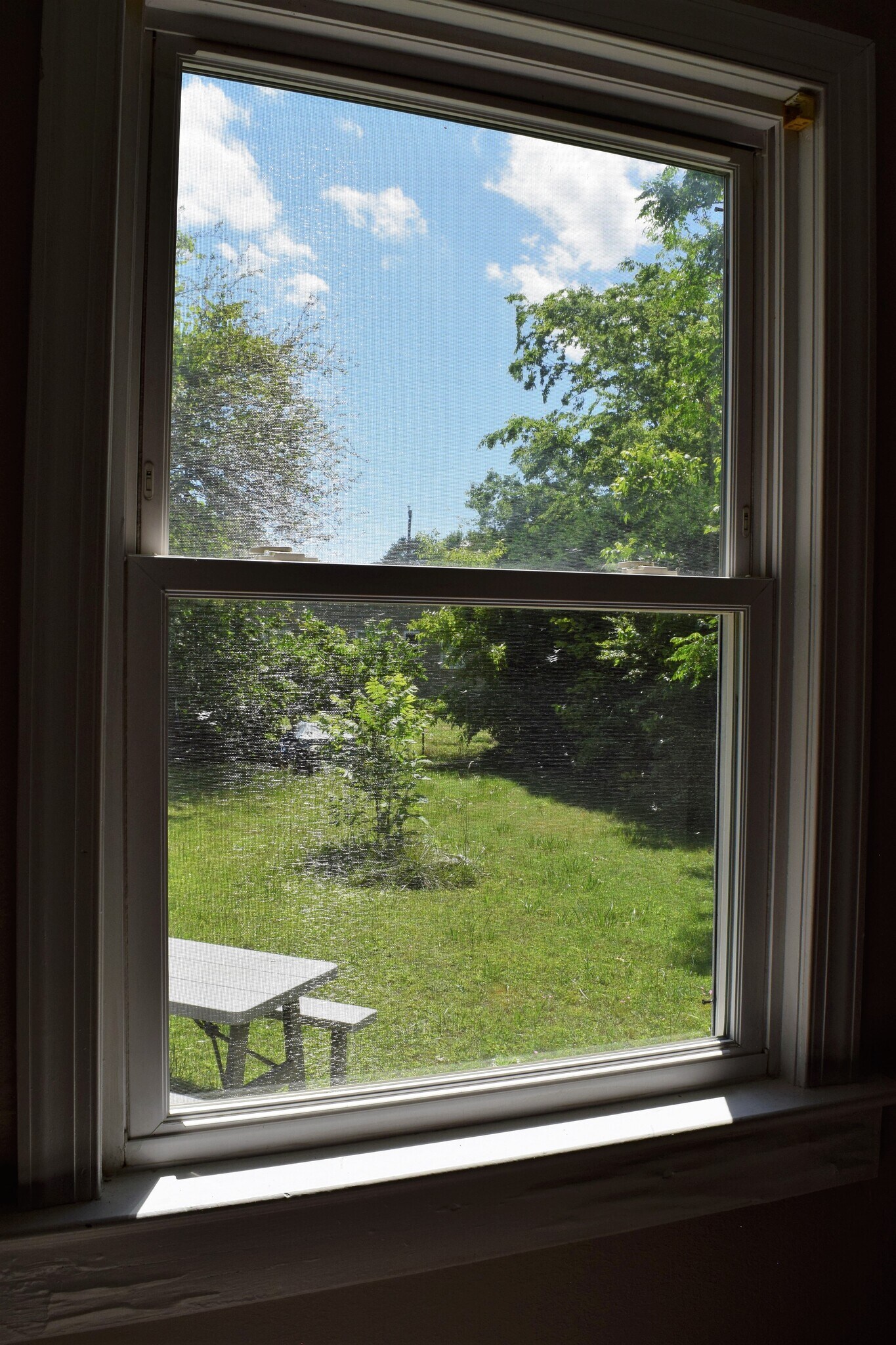 View from the dining room - 18 Morrison Ave