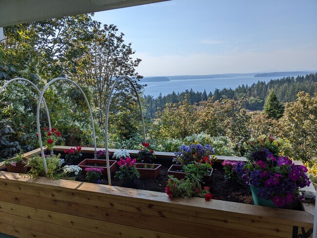 This cedar raised bed features flowers year-round. - 8261 Northrop Plz SW