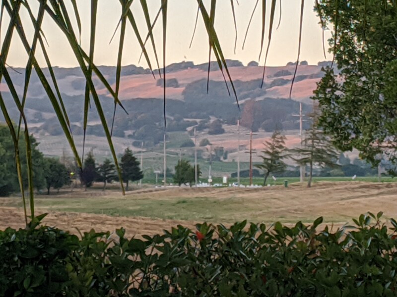 Building Photo - 35 Princeville Ct