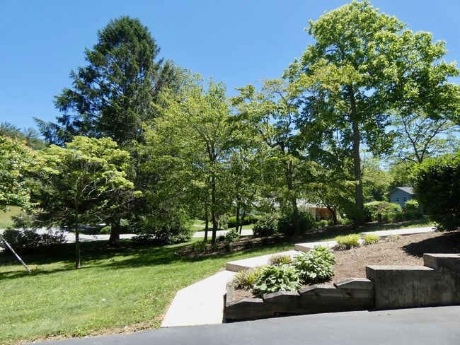 Building Photo - Haw Creek Gem