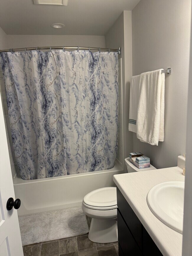 Main bathroom - 2519 Spark St