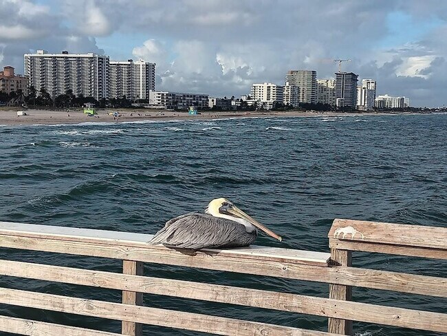Building Photo - 305 N Pompano Beach Blvd