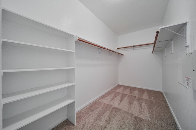 Building Photo - 25208 Forest Ledge Dr