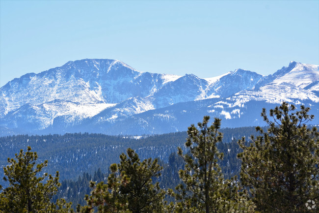 Building Photo - Trail Ridge at Woodland Park