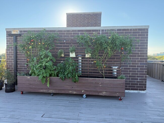 Building Photo - 2505 W Carmen Ave