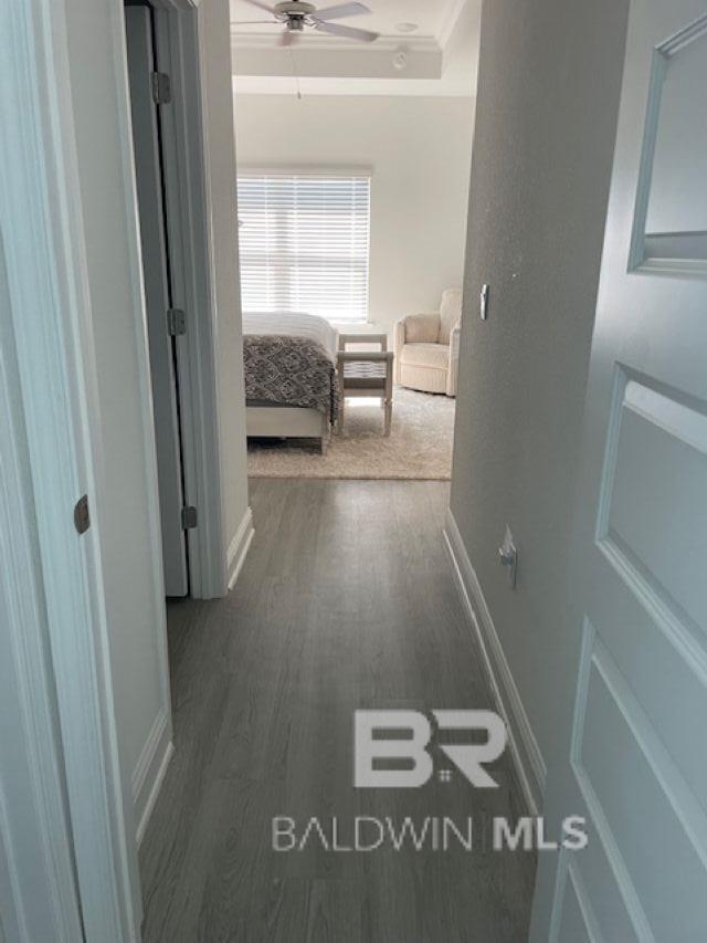 Building Photo - 387 Haise Ln