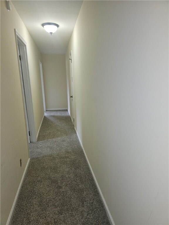 Primary Photo - 204 Morris St
