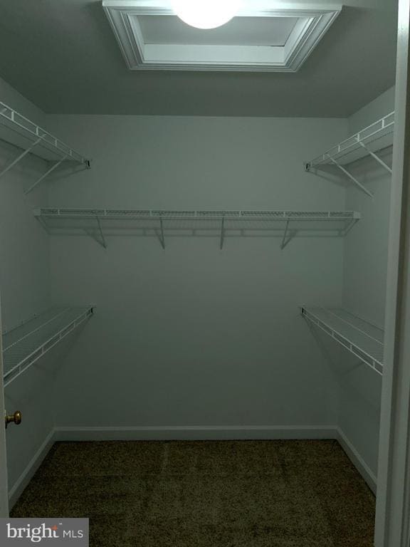 Building Photo - 13005 Jadestone Way