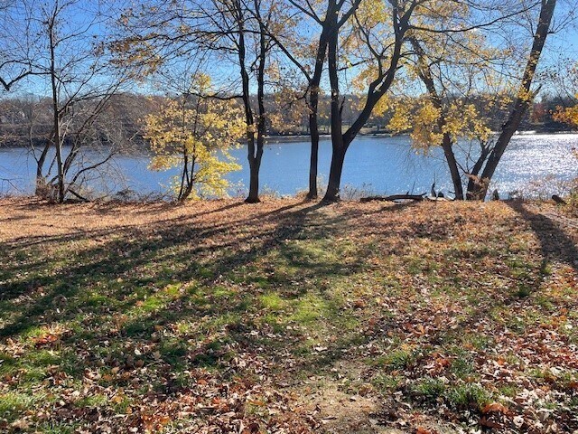 Building Photo - 86 Margin St