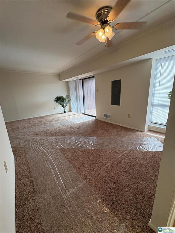 Primary Photo - 911 George St