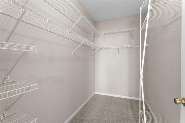 Building Photo - 575 Oakleaf Plantation Pkwy