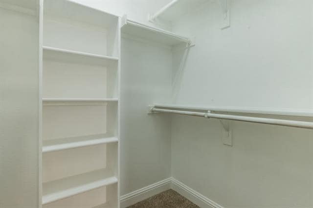Building Photo - 732 Skyline Bluff Ct