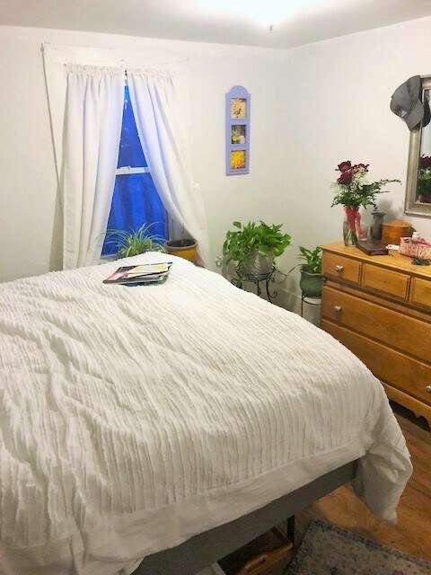 Building Photo - 17 Hanson St