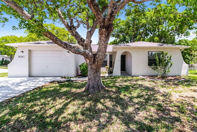 Building Photo - 9136 Lometa Ln
