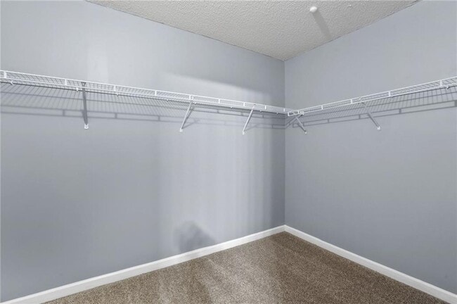 Building Photo - 4550 Ivy Fork Dr