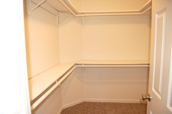 Building Photo - 7446 Sharzad Pl