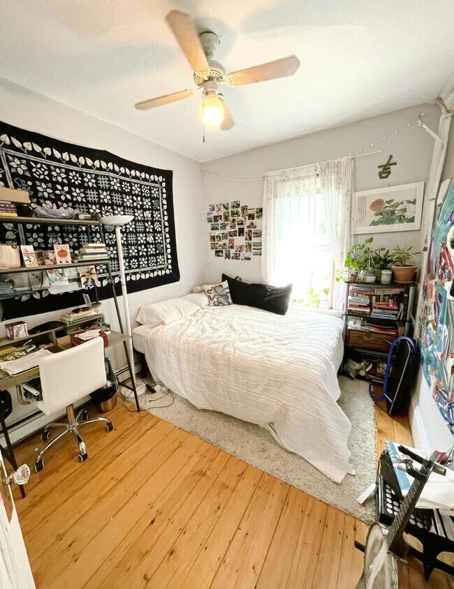 Building Photo - $500 rebate promo!  Cat-Negotiable Apt Near NEU with Laundry in Unit!  Tons of Sunlight