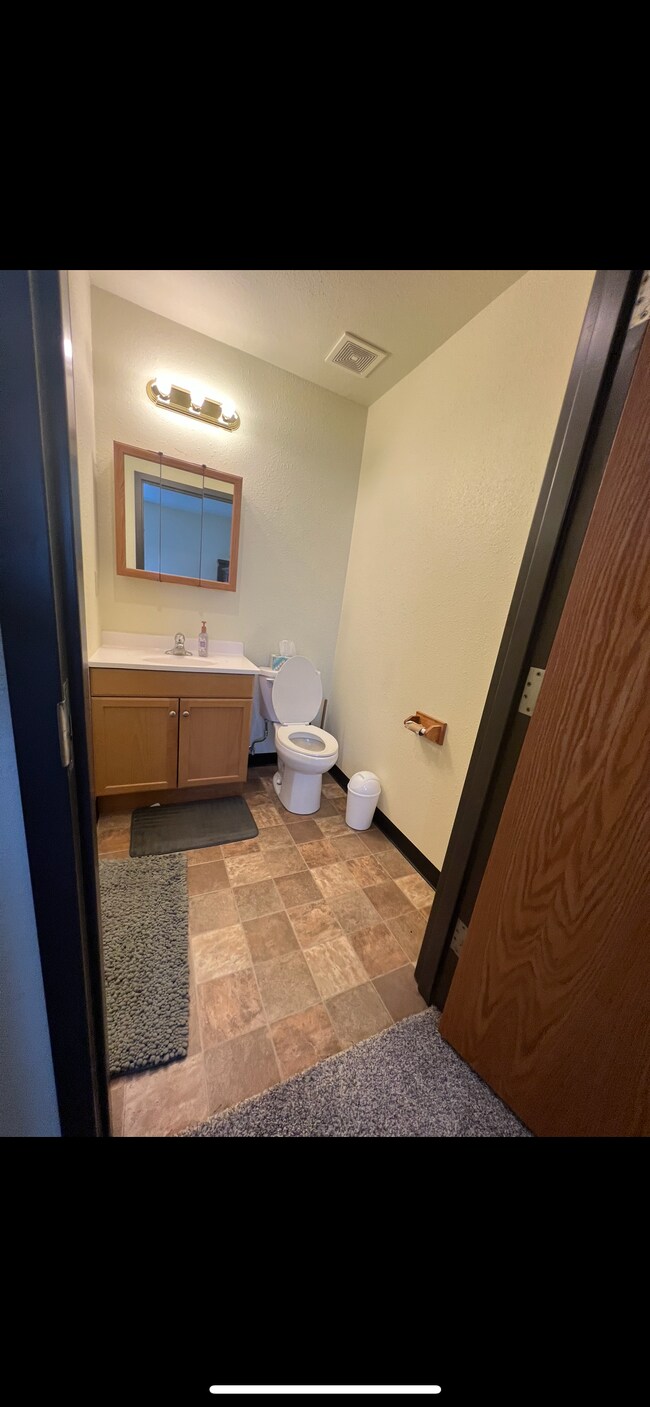 Master Bedroom Bathroom - 604 NE Douglas St