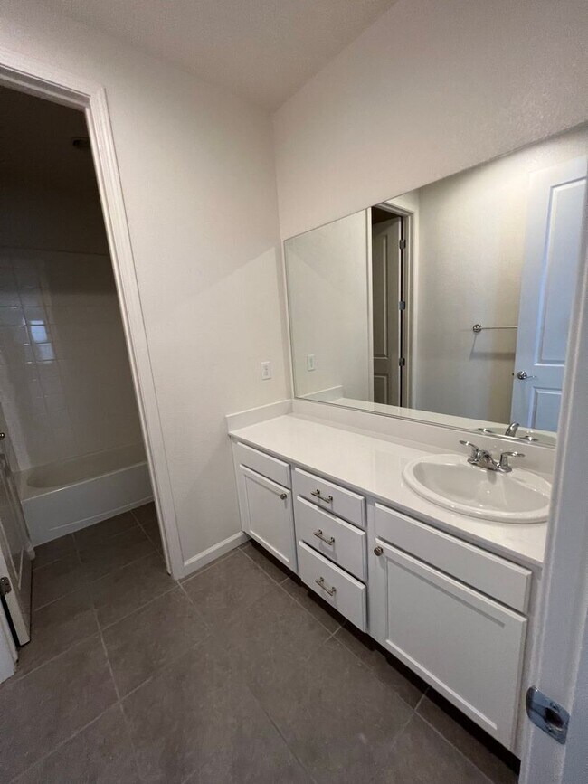 Building Photo - 3140 Show Jumper Ln