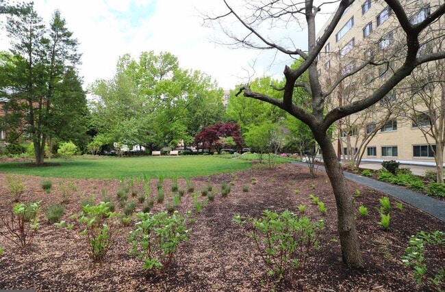 Private park / backyard - 4600 Connecticut Ave NW