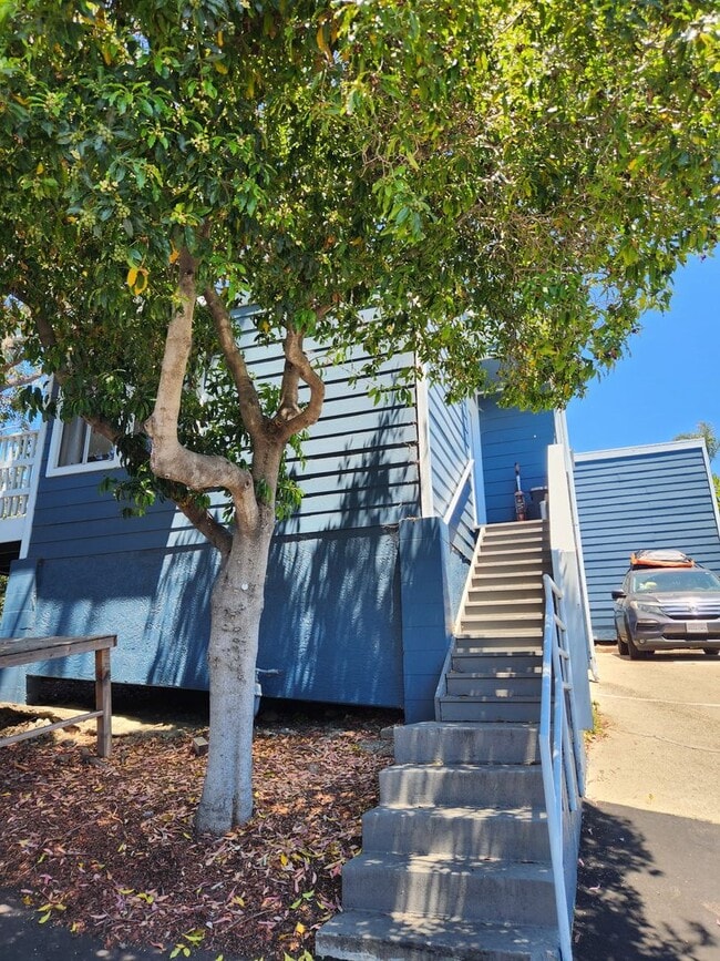 Building Photo - 4bd/2ba House w/ Bonus Kitchenette