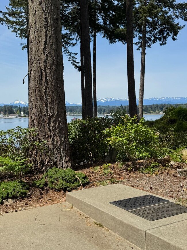 Building Photo - Stunning completely remodeled waterfront P...