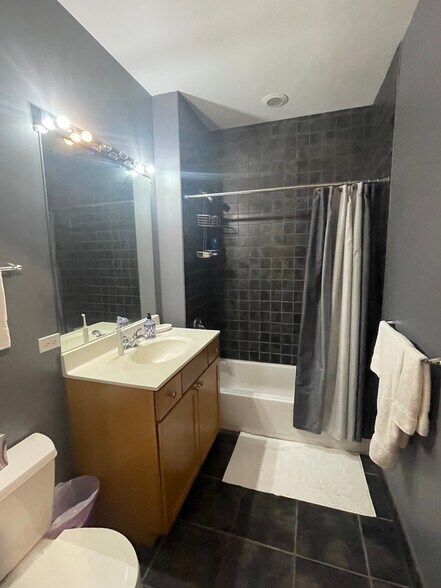 Front Bathroom - 720 N Larrabee St Unit 1707