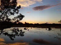 Building Photo - 7125 Lakeridge Ct