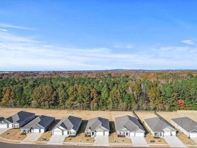 Building Photo - Spacious 4-Bed, 3-Bath New Home with 3-Car Garage and Private Owner’s Suite!