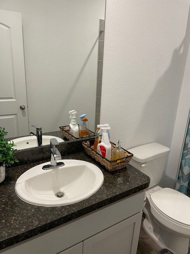 Building Photo - 24443 Springfield Valley Dr