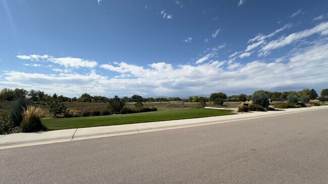 Building Photo - Great Townhome in Timnath Lakes