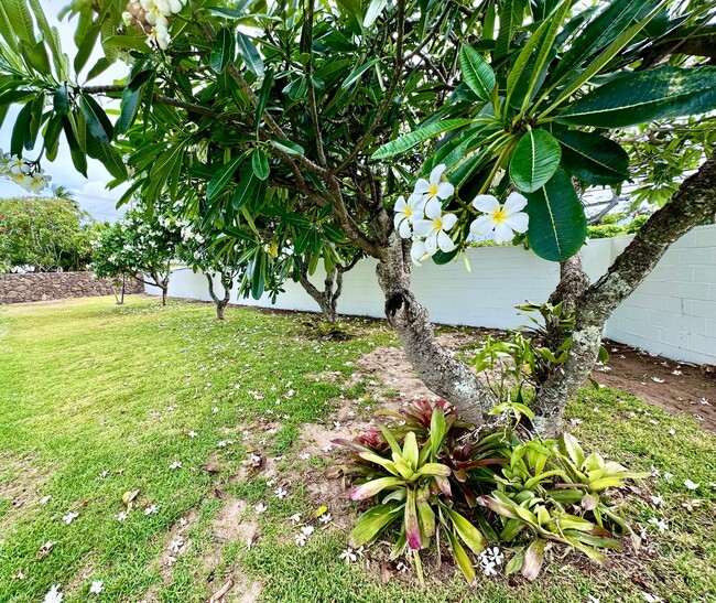 Building Photo - Mid-century modern Kalaheo Ave. Beach side...