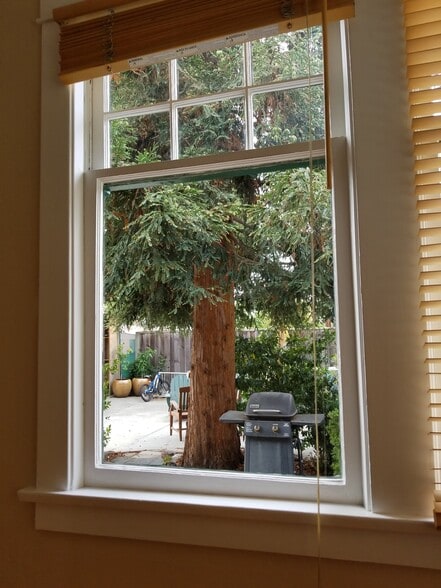 Downstairs bedroom window - 834 Ramona St