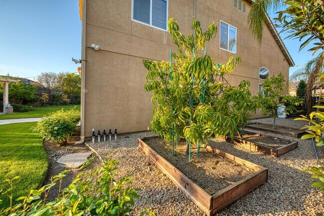 Building Photo - Spacious Home on Oversized Lot with Pool and Solar!