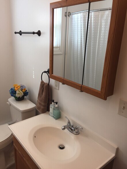 Bathroom - 56 Genesee St