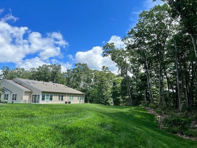 Primary Photo - 31 Albert St