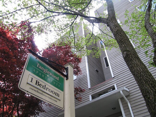 Building Photo - Tanglewood Apartments