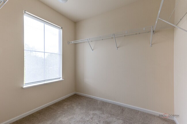 Building Photo - 409 Alpine Springs Dr