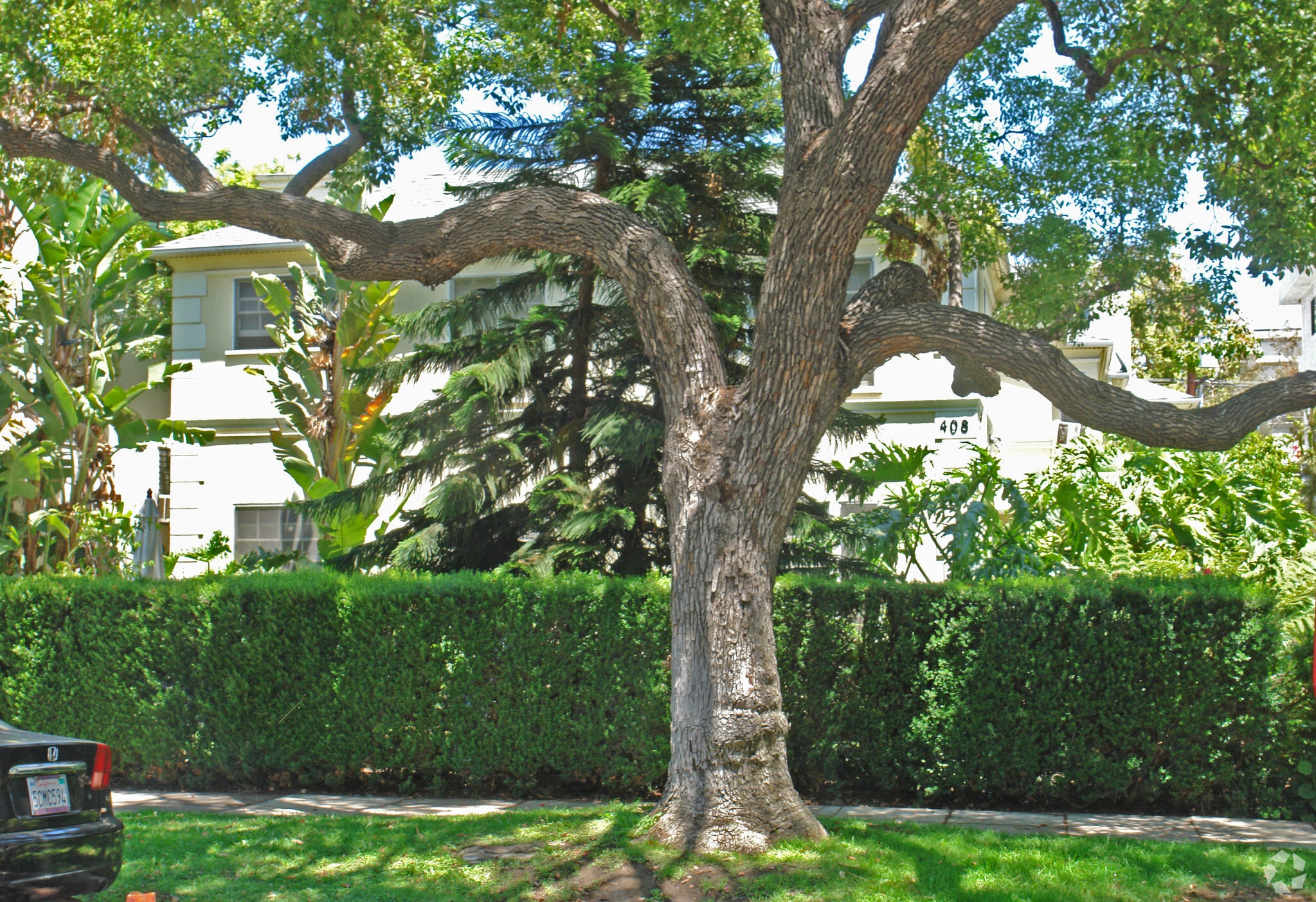 Building Photo - 408 N Maple Dr