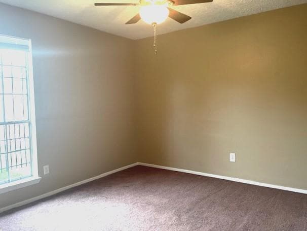Building Photo - 1406 Crawley Ct